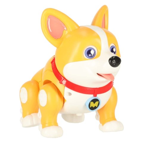 Pies piesek interaktywny robot Corgi świecące uszy muzyka