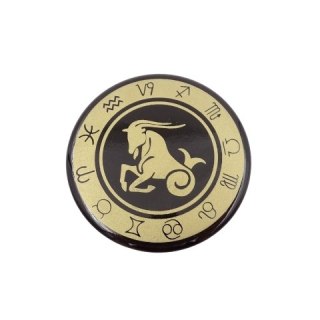 Magnes Koziorożec znak zodiaku KOZ