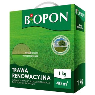 TRAWA RENOWACYJNA 1 KG